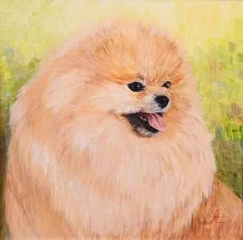 Щенок Винни