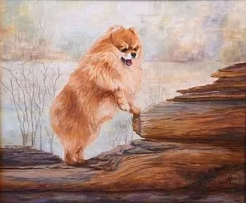 На страже